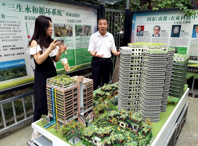 诸多堵点亟待打通，绿色低碳探索如何“叫好又叫座”｜记者观察