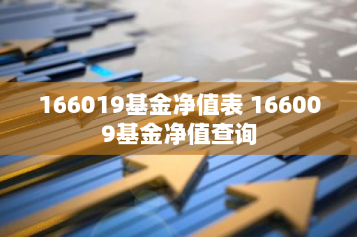 166019基金净值表 166009基金净值查询