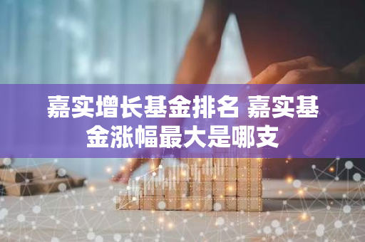 嘉实增长基金排名 嘉实基金涨幅最大是哪支