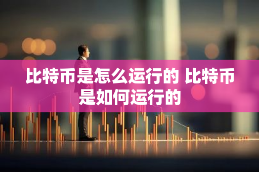 比特币是怎么运行的 比特币是如何运行的