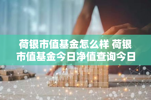 荷银市值基金怎么样 荷银市值基金今日净值查询今日大盘