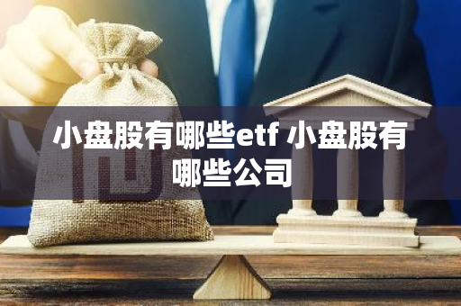 小盘股有哪些etf 小盘股有哪些公司