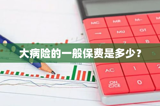 大病险的一般保费是多少？