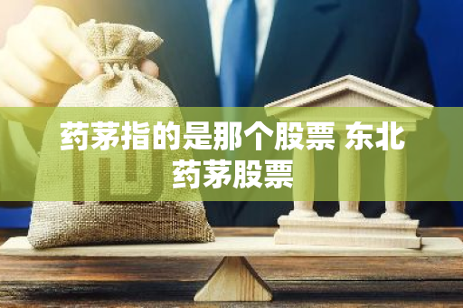 药茅指的是那个股票 东北药茅股票