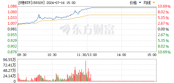 沙特ETF再度飙升，基金公司警告溢价风险