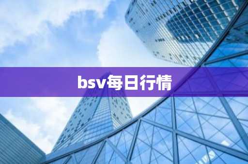 bsv每日行情