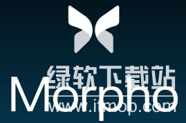 morpho币的联合创始人或关键团队成员有哪些？