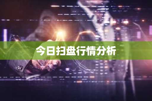 今日扫盘行情分析