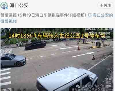 那些因为动物而围攻他人的”人“，真的有”爱心“吗？