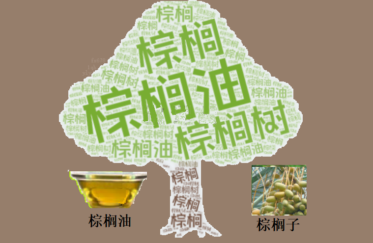 【MPOB数据发布倒计时，棕榈油市场面临技术面“黄牌”警示？】