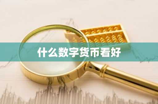 什么数字货币看好
