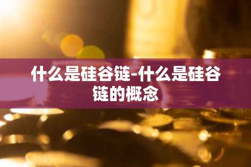 什么是硅谷链-什么是硅谷链的概念