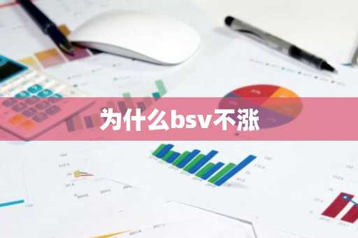 为什么bsv不涨