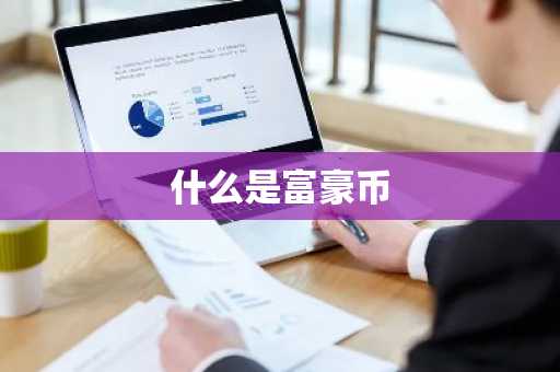 什么是富豪币