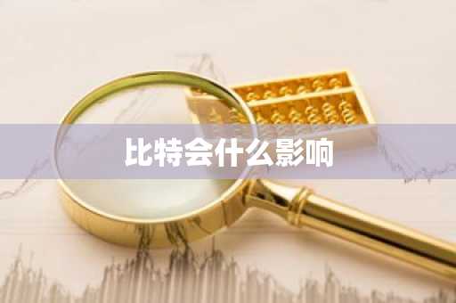 比特会什么影响