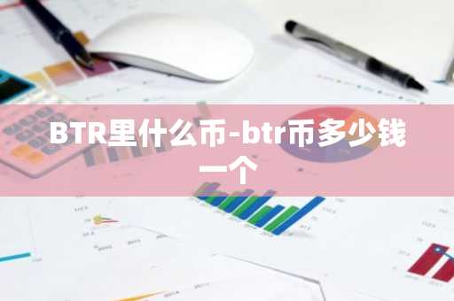 BTR里什么币-btr币多少钱一个