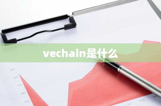 vechain是什么