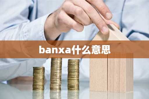 banxa什么意思