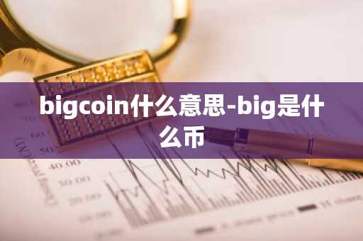 bigcoin什么意思-big是什么币