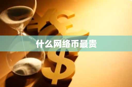 什么网络币最贵