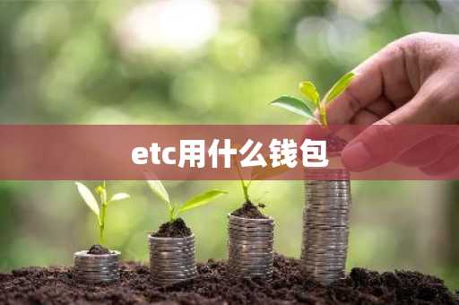 etc用什么钱包