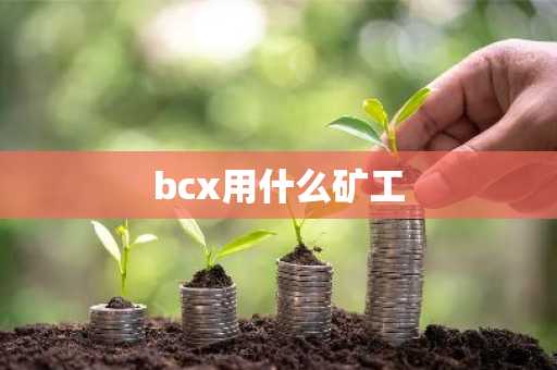 bcx用什么矿工