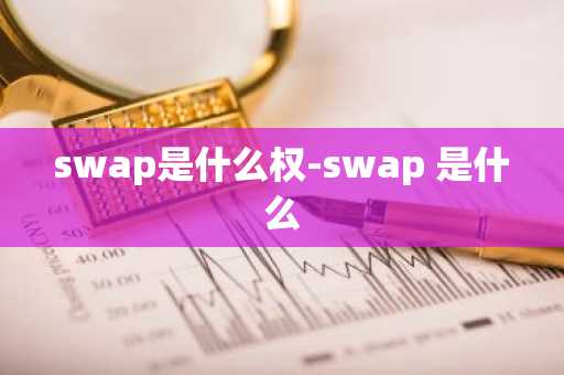swap是什么权-swap 是什么