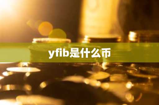 yfib是什么币