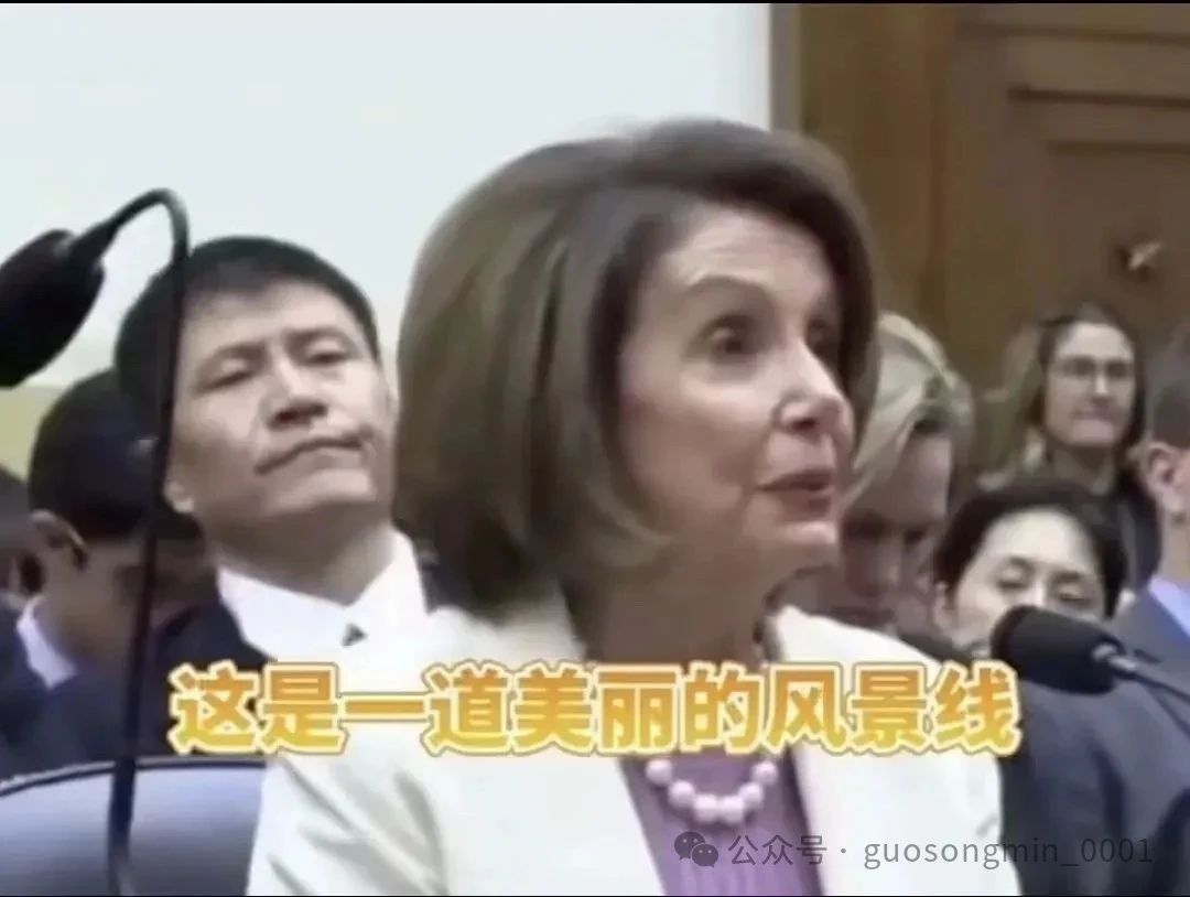 郭松民 | 辨析“美丽的风景线”