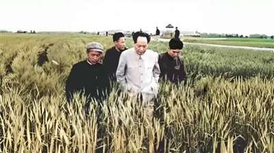 第五个馒头的功劳？——论吃饱饭与毛泽东时代的奠基伟业