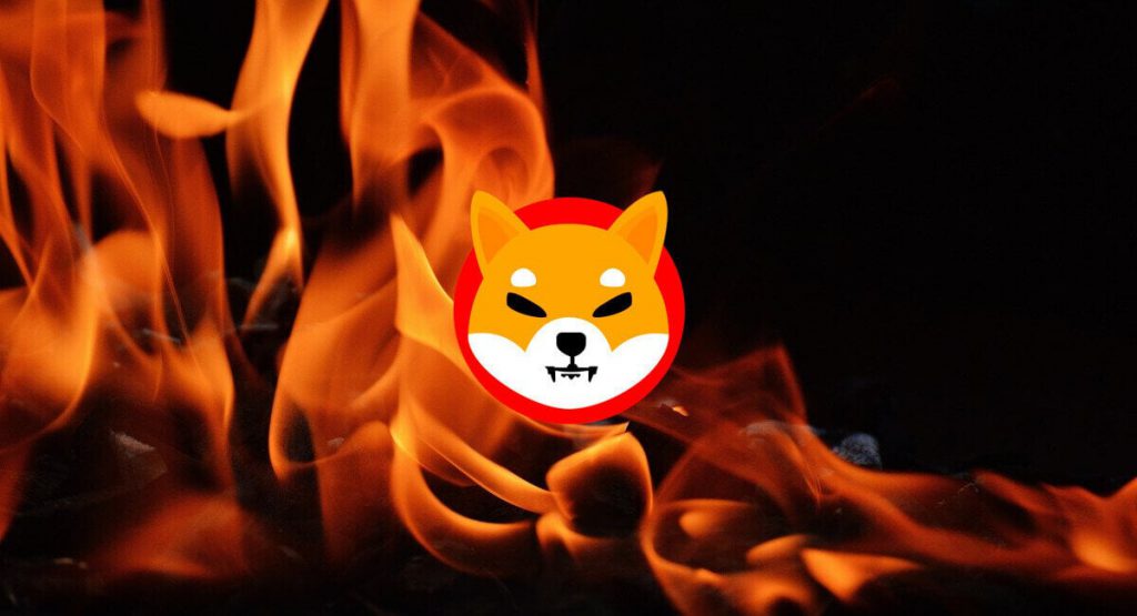 柴犬的 SHI 启动：重要日子是什么时候？