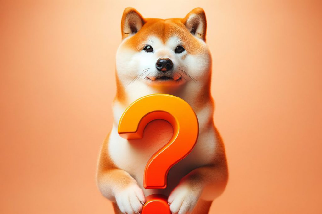熊市中还持有柴犬吗？以下是你需要知道的事情